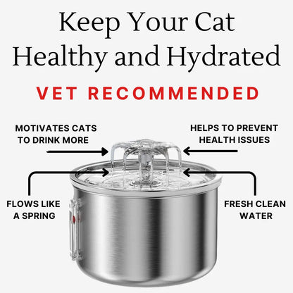 Cat Water Spring