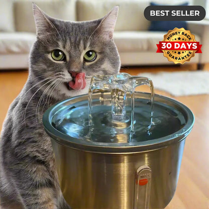 Cat Water Spring